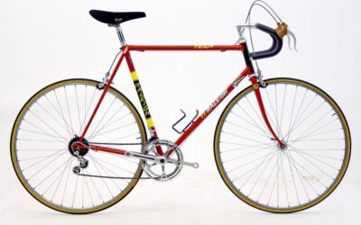 De Raleigh Team Professional van de Post ploeg